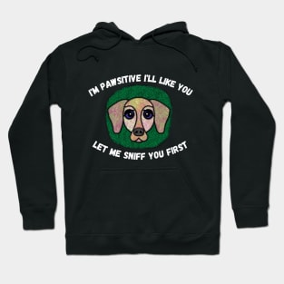 I'm Pawsitive I'll Like You. Let Me Sniff You First. Patch-style Hoodie